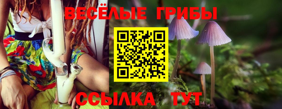 Псилоцибиновые грибы прущие грибы Благодарный